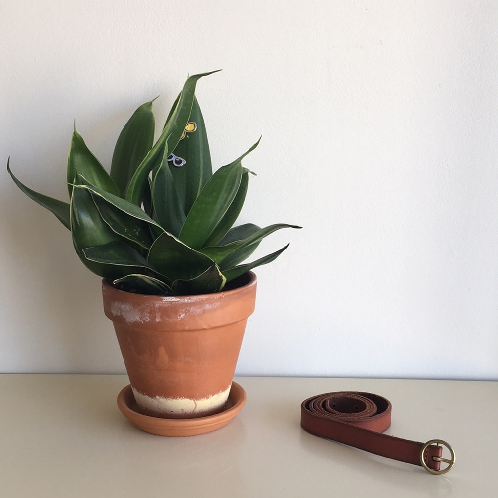 Anthropologie Leather Belt, Size S